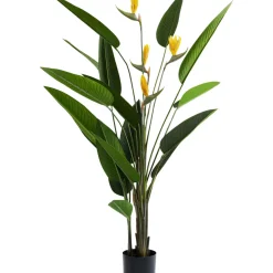 Plante Décorative Paradise Flowers 190Cm