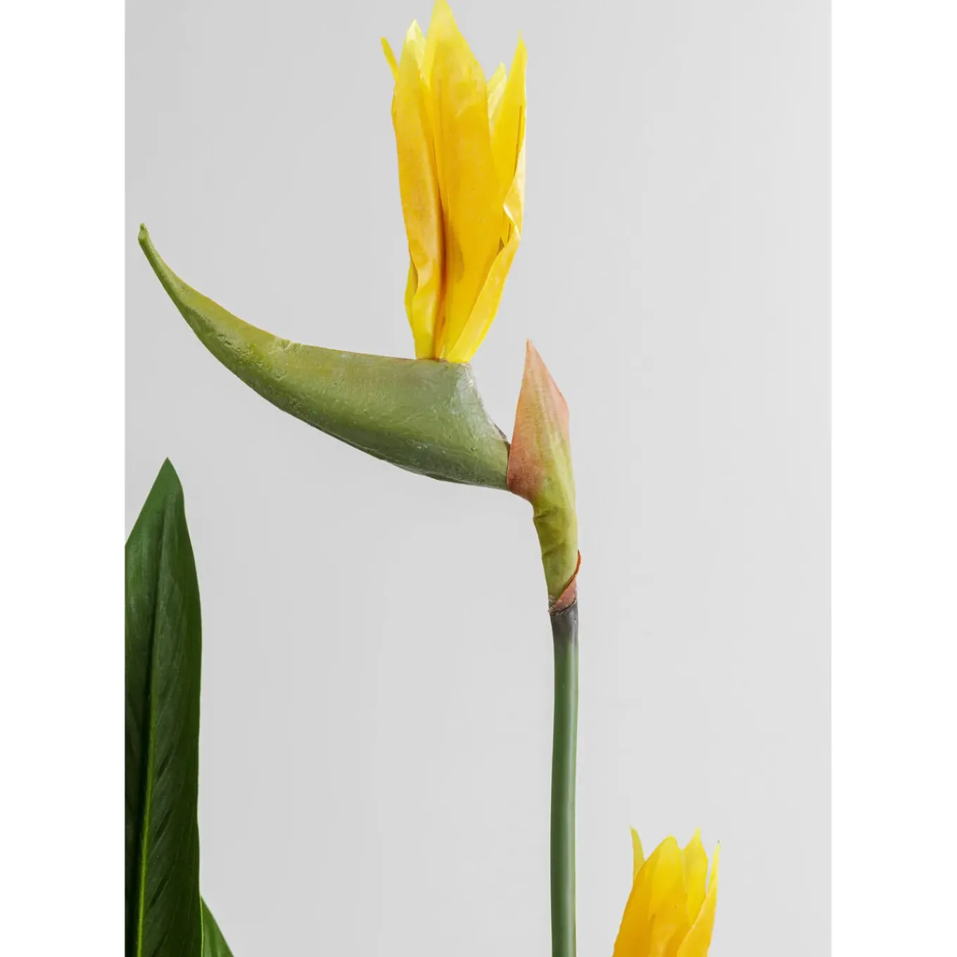Plante Décorative Paradise Flowers 190Cm