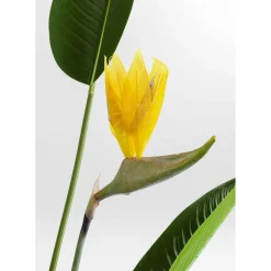 Plante Décorative Paradise Flowers 190Cm