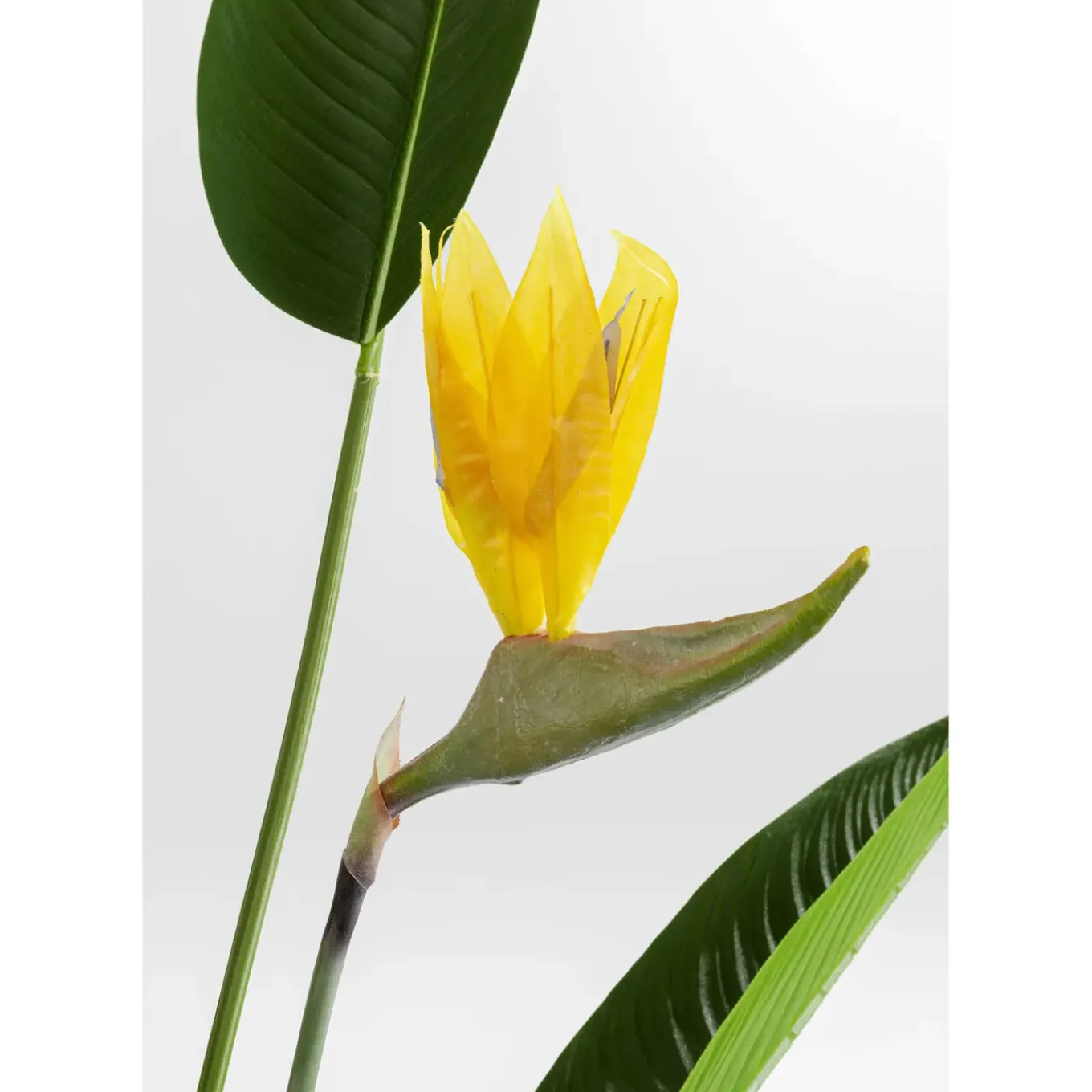 Plante Décorative Paradise Flowers 190Cm