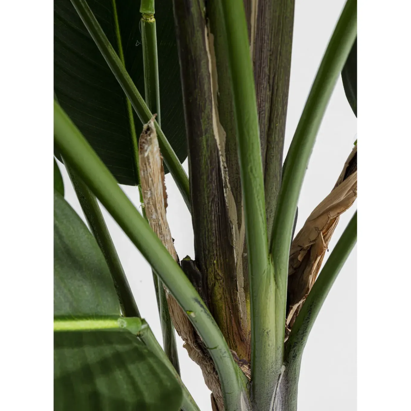 Plante Décorative Paradise Flowers 190Cm