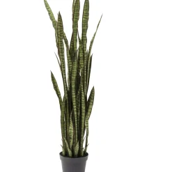 Plante Décorative Sansewieria 155Cm