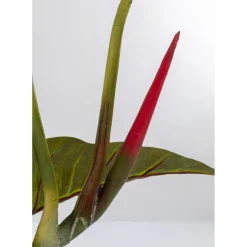 Plante Décorative Taro 180