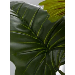 Plante Décorative Taro 180