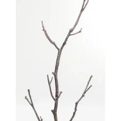 Portemanteau Tree Branch 183