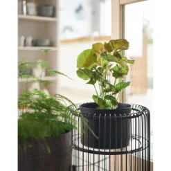 Porte-Plantes Wire Noir 44Cm