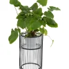 Porte-Plantes Wire Noir 57Cm