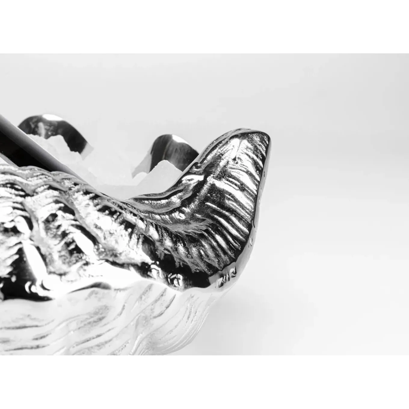 Seau À Champagne Shell