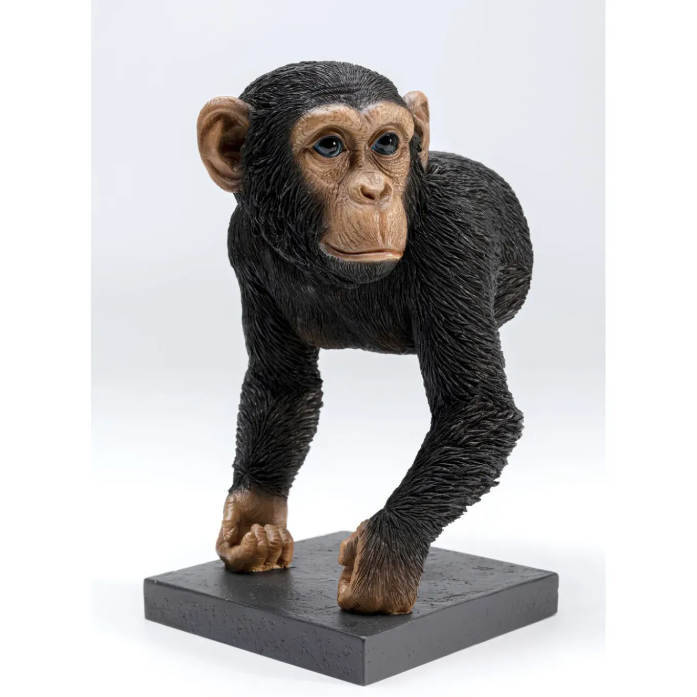 Serre-Livres Chimp (2/Set)