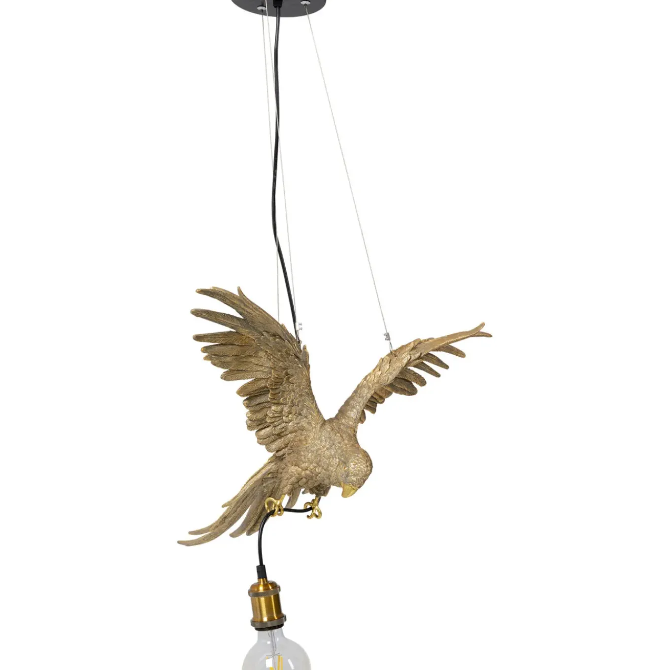 Suspension Animal Parrot