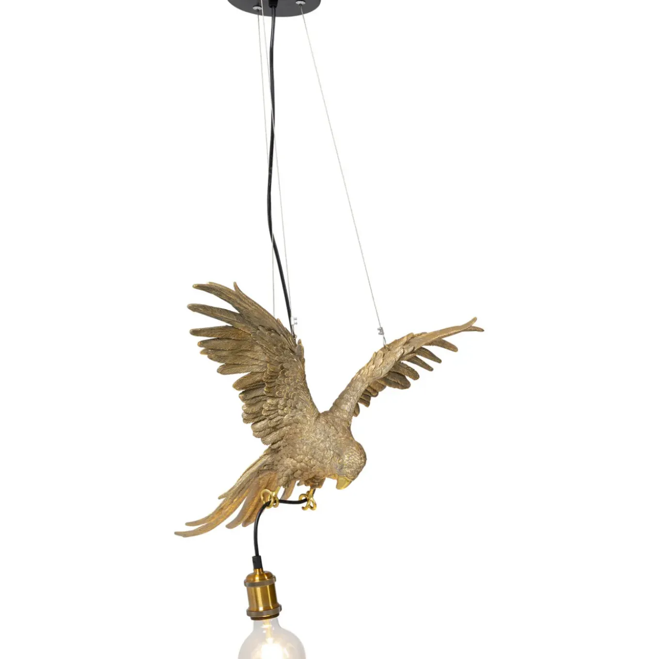 Suspension Animal Parrot