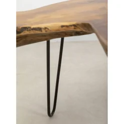 Table Basse Aspen Nature 100X60