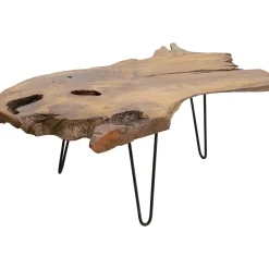 Table Basse Aspen Nature 100X60
