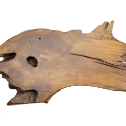 Table Basse Aspen Nature 100X60