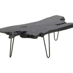 Table Basse Aspen Noir 100X40