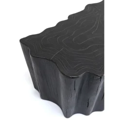 Table Basse Tree Stump Noir 119X68Cm