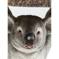 Table D Appoint Animal Koala O33Cm