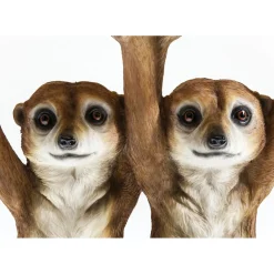 Table D Appoint Animal Meerkat Sisters O33Cm