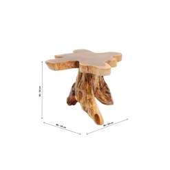 Table D Appoint Tree Gm Nature