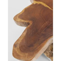 Table D Appoint Tree Gm Nature
