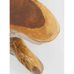 Table D Appoint Tree Gm Nature