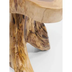 Table D Appoint Tree Gm Nature