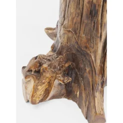 Table D Appoint Tree Pm Nature