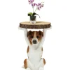 Table D´Appoint Animal Mr. Jack O33Cm