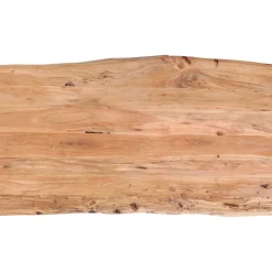 Table Harmony Acier Brut 180X90Cm