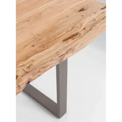 Table Harmony Acier Brut 200X100Cm