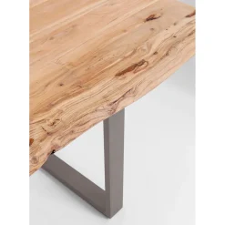 Table Harmony Acier Brut 160X80Cm