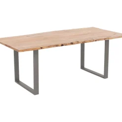 Table Harmony Acier Brut 200X100Cm