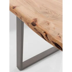 Table Harmony Acier Brut 200X100Cm