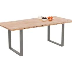 Table Harmony Acier Brut 200X100Cm