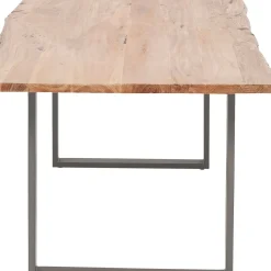 Table Harmony Acier Brut 200X100Cm