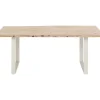 Table Harmony Argente 160X80Cm