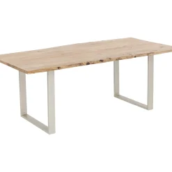 Table Harmony Argente 160X80Cm
