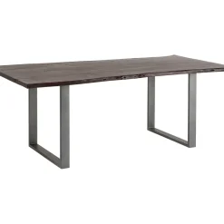 Table Harmony Fonce Acier Brut 200X100
