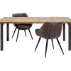 Table Illusion Dore 200X95Cm