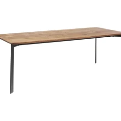 Table Phoenix 220X100Cm