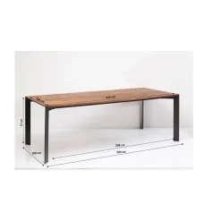 Table Phoenix 220X100Cm