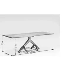 Table Roots Dark 220X100Cm