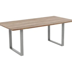 Table Symphony Acier Brut 200X100