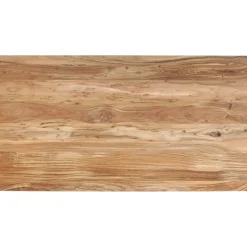 Table Symphony Acier Brut 200X100