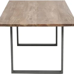 Table Symphony Acier Brut 200X100
