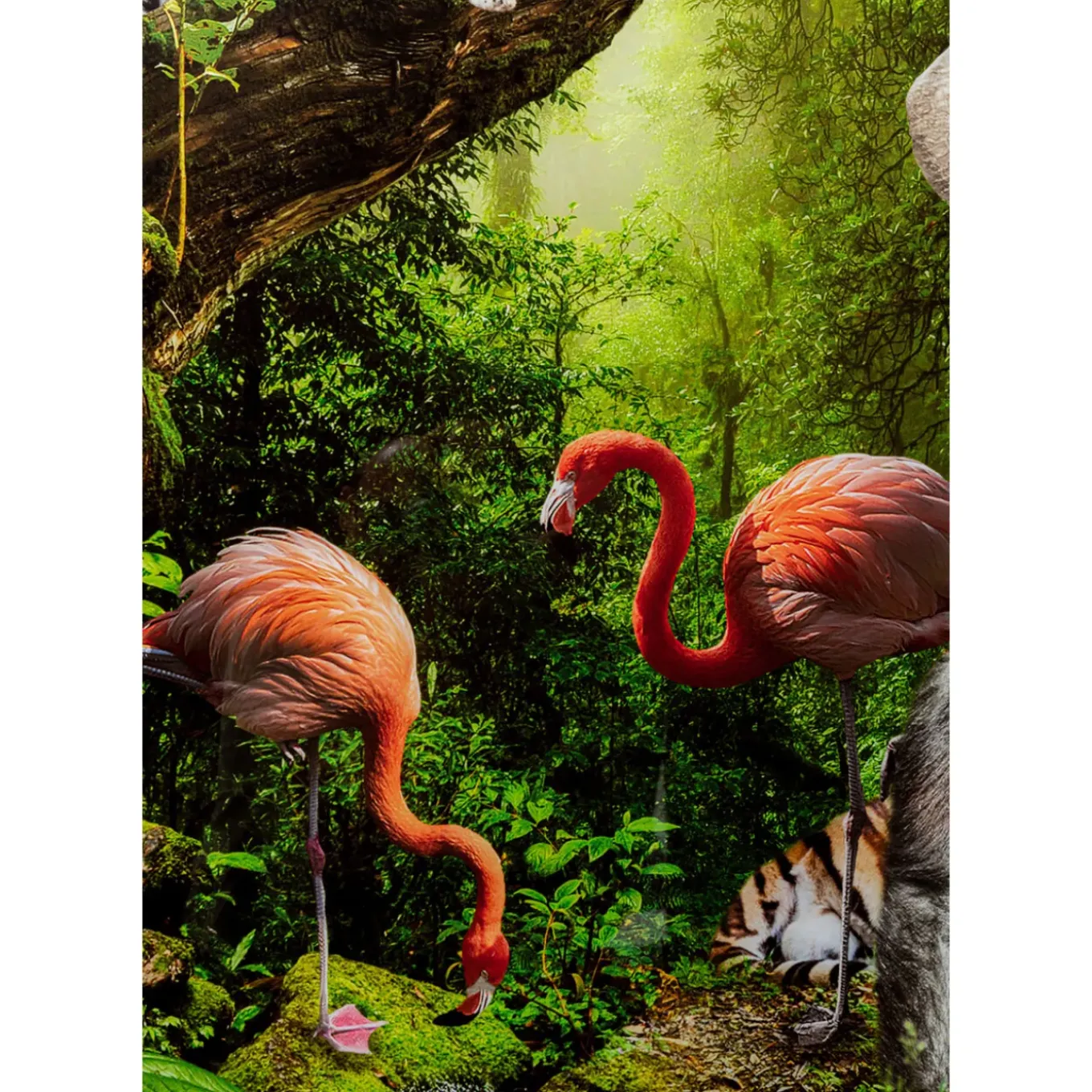 Tableau En Verre Animal Paradise 150X100Cm