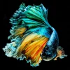 Tableau En Verre Aqua Queen Fish 100X100Cm