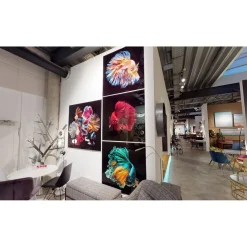 Tableau En Verre Aqua Queen Fish 100X100Cm