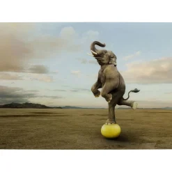 Tableau En Verre Balance Elefant 150X100Cm