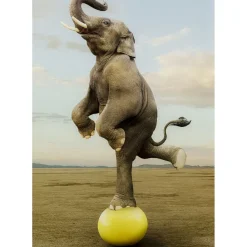 Tableau En Verre Balance Elefant 150X100Cm